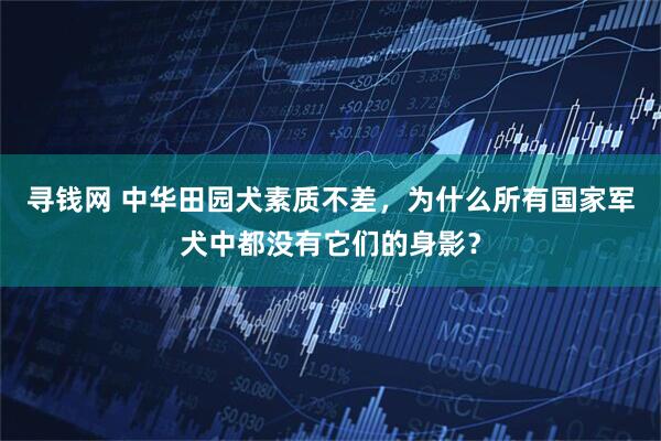寻钱网 中华田园犬素质不差，为什么所有国家军犬中都没有它们的身影？