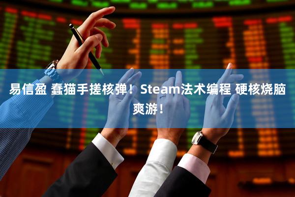 易信盈 蠢猫手搓核弹！Steam法术编程 硬核烧脑爽游！